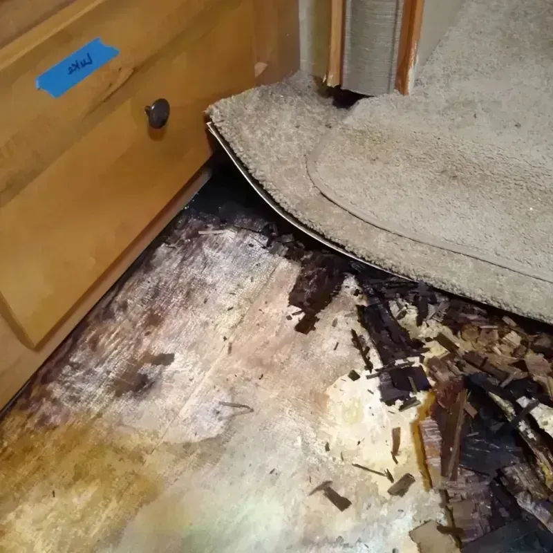 Best Wood Floor Water Damage Service in Kyle, TX